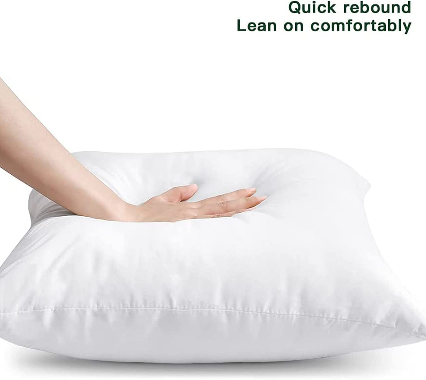 Cushion Filler 18x18 Inches - Pack of 2