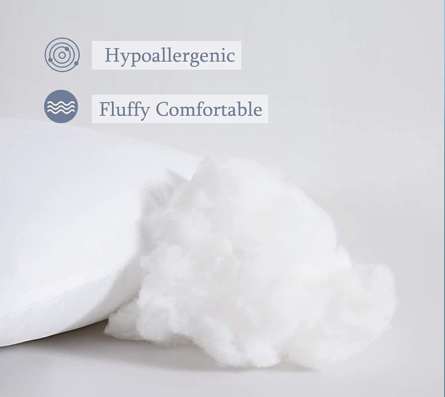 Cushion Filler 20x20 Inches - Pack of 2