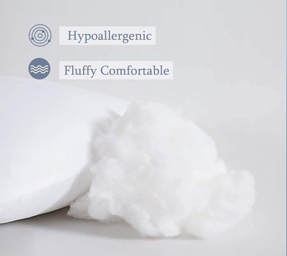 Cushion Filler 20x20 Inches - Pack of 2