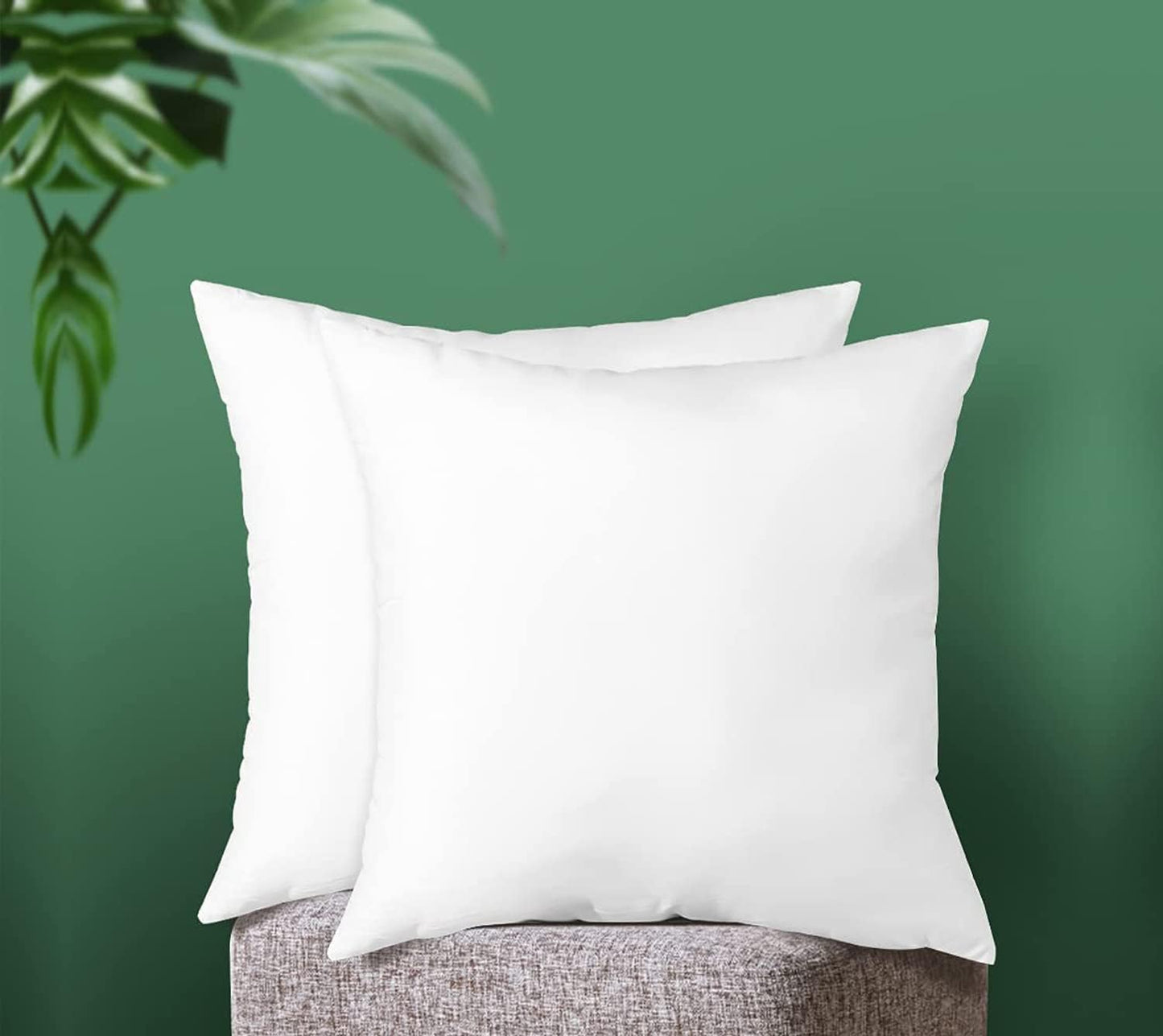 Cushion Filler 20x20 Inches - Pack of 2