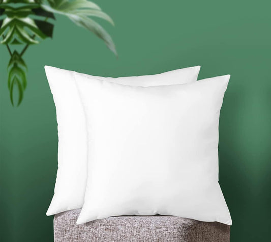 Cushion Filler 20x20 Inches - Pack of 2