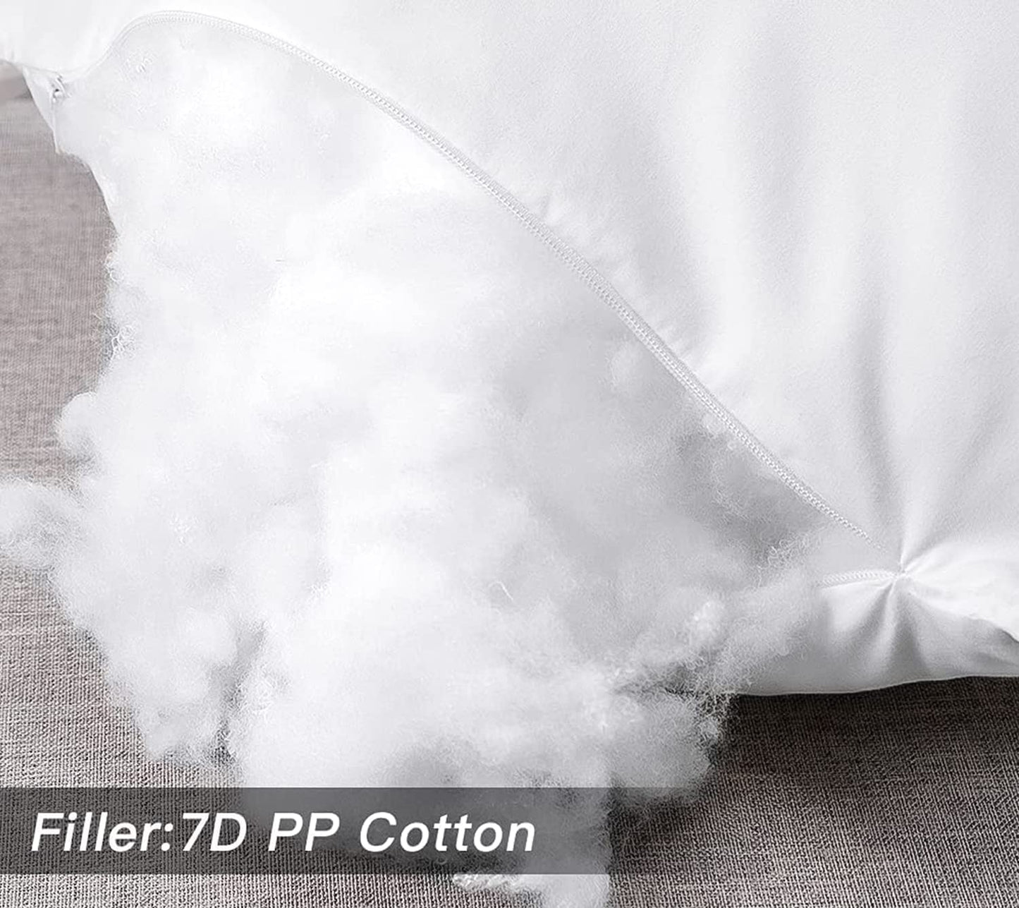 Cushion Filler 12x12 Inches - Pack of 2