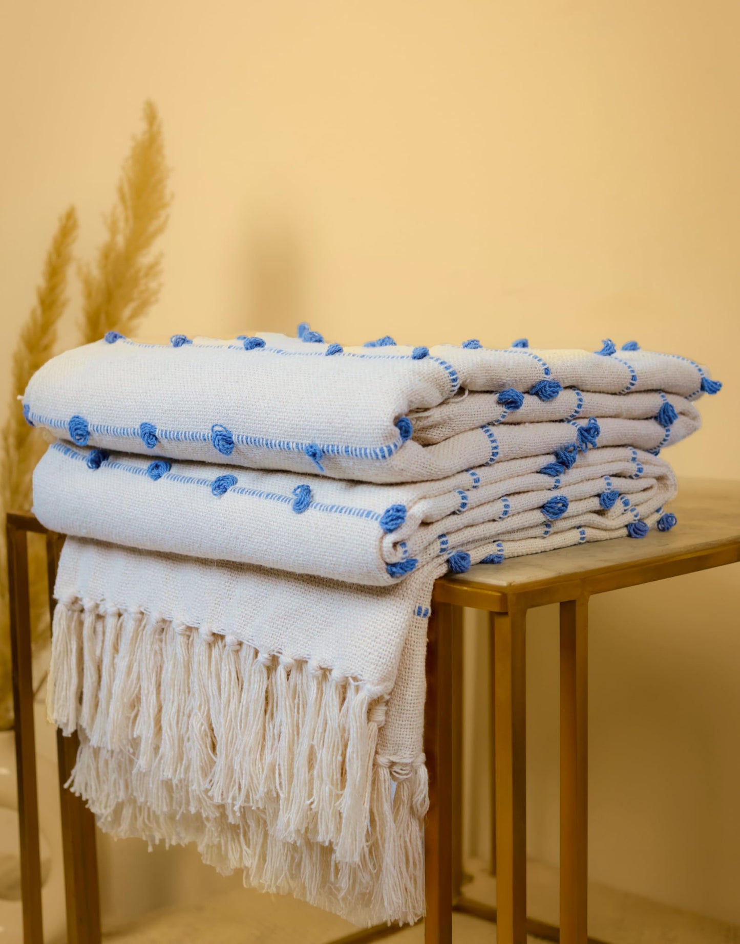 Pure Cotton Beige & Blue Throw & Cushion Cover