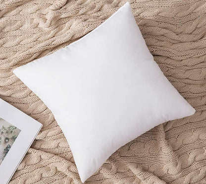 Cushion Filler 20x20 Inches - Pack of 2