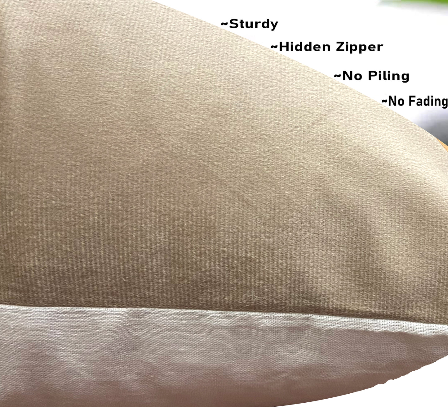 Velvet Cream Cushion Cover 16"x16" (Pack of 2)